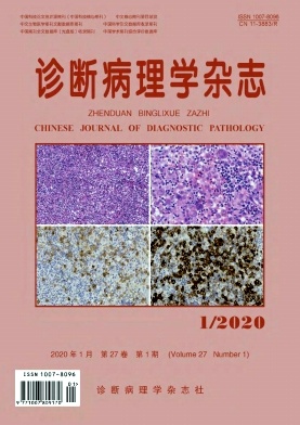 诊断病理学杂志投稿