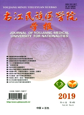 右江民族医学院学报杂志