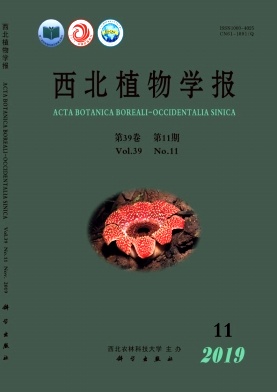 西北植物学报杂志