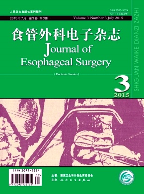 肿瘤综合治疗电子杂志