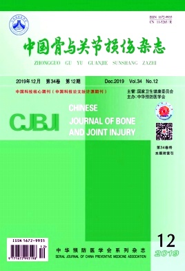 中国骨与关节损伤杂志投稿
