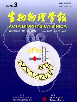 生物物理学报杂志投稿