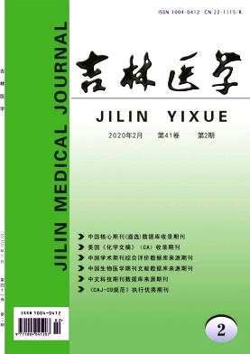 吉林医学（护理版）杂志