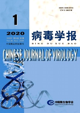 病毒学报杂志投稿