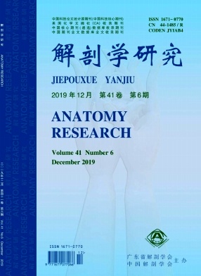 解剖学研究杂志