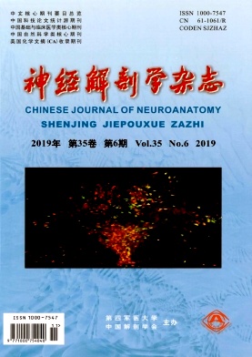 神经解剖学杂志