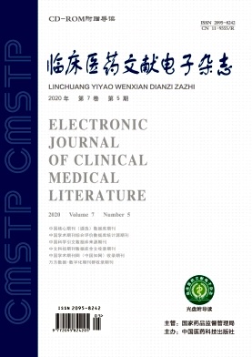 临床医药文献电子杂志