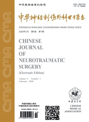 中华神经创伤外科电子杂志
