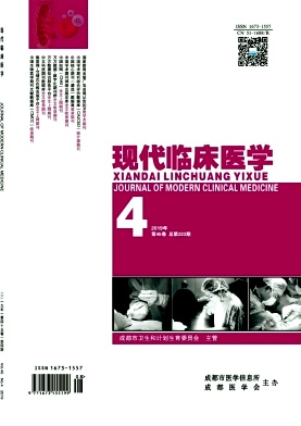 中华现代临床医学杂志