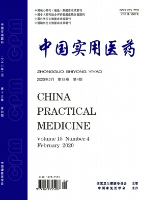中国实用医药杂志