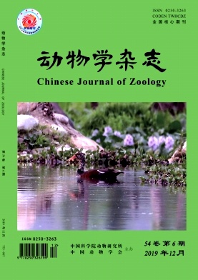 动物学杂志