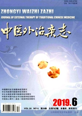 中医外治杂志
