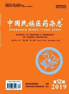 中国民族医药杂志投稿要求