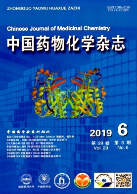中国药物化学杂志