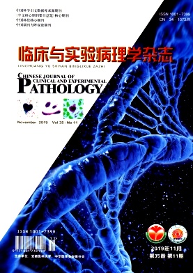 临床与实验病理学杂志
