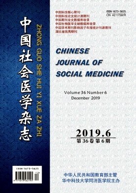 中国社会医学杂志